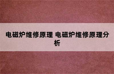 电磁炉维修原理 电磁炉维修原理分析